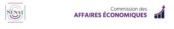 #SENAT - Influenceur : une activité commerciale comme les autres ?