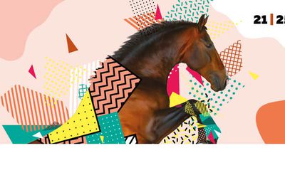 #CALVADOS - Equidays 2023 : du samedi 21 au mercredi 25 octobre !